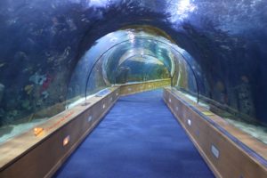 Oceanografico Valencia