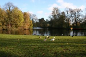 Vondelpark Amsterdam