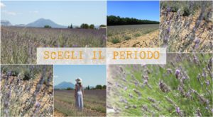 Scegli il periodo Provenza