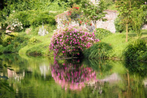 Giardino di ninfa