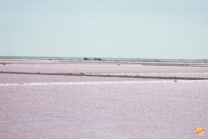 le Saline de Giraud Francia