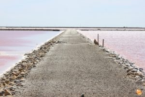 le Saline de Giraud Francia