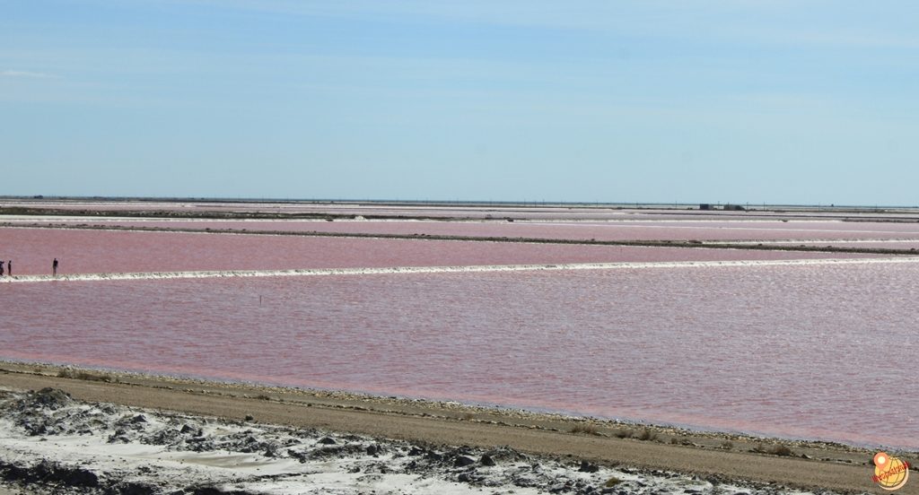 le Saline de Giraud Francia