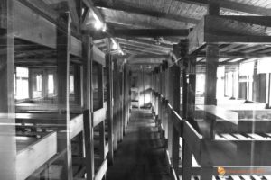 Camere Sachsenhausen